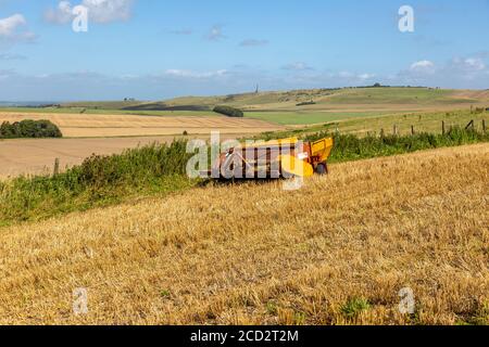 Chalk paesaggio Nord Wessex Downs AONB, vista verso Beckhampton, Bishops Cannings Down, Wiltshire, Inghilterra, Regno Unito Foto Stock