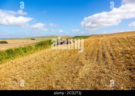 Chalk paesaggio Nord Wessex Downs AONB, vista verso Beckhampton, Bishops Cannings Down, Wiltshire, Inghilterra, Regno Unito Foto Stock