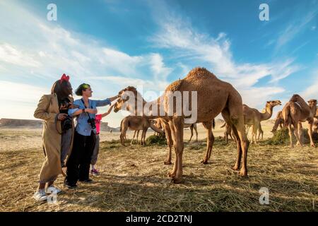 Paesaggio con gruppo di cammelli nel deserto di al-Sarar. AL-SARAR, ARABIA SAUDITA.17-GENNAIO 2020. Foto Stock