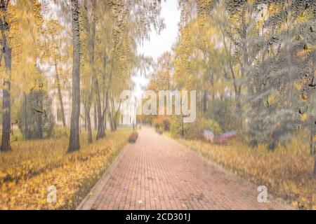 Parco diurno con foglie di acero giallo, marciapiede e panchine dietro il vetro piovoso bagnato in autunno dorato. Il concetto di maltempo, cambio di stagione e foglia Foto Stock