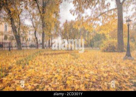 Parco diurno con foglie di acero giallo, marciapiede e panchine dietro il vetro piovoso bagnato in autunno dorato. Il concetto di maltempo, cambio di stagione e foglia Foto Stock