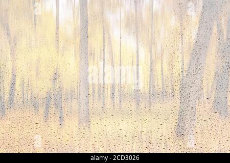 Parco diurno con foglie di acero giallo, marciapiede e panchine dietro il vetro piovoso bagnato in autunno dorato. Il concetto di maltempo, cambio di stagione e foglia Foto Stock