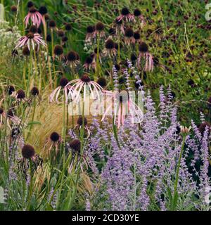 Particolare del bellissimo giardino di Hauser & Wirth, Somerset di Piet Oudolf Foto Stock