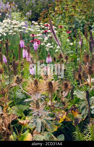 Particolare del bellissimo giardino di Hauser & Wirth, Somerset di Piet Oudolf Foto Stock