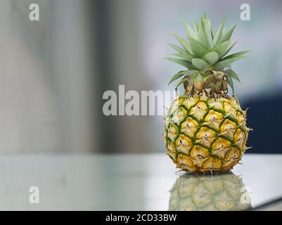 Ananas messo sul tavolo di vetro sfondo sfocato Foto Stock