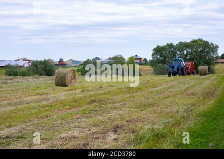 Villaggio di Rybushkino, Russia - 1 luglio 2020: Un trattore blu raccoglie l'erba secca in grandi rotoli rotondi di fieno. Haymaking utilizzando attrezzature rurali. Campo di erba Foto Stock