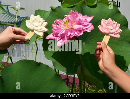 --file--la gente mostra il gelato a forma di loto progettato dal Palazzo d'Estate contro i fiori reali di loto a Pechino, Cina, 1 agosto 2019. Foto Stock