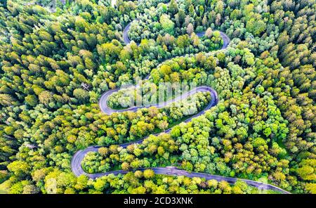 Sinaia, Romania e strada tortuosa nei Monti Bucegi, Carpazi Foto Stock