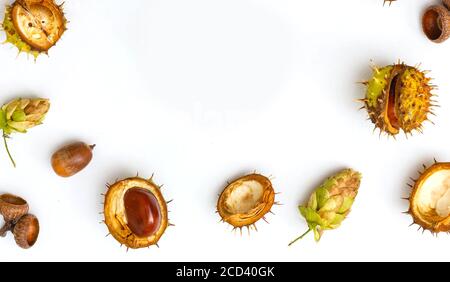 Composizione autunnale, coni, ghiande e castagne. Disposizione piatta, vista dall'alto. Foto Stock