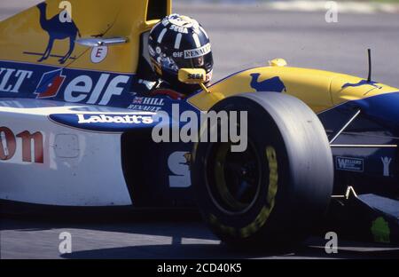 Damon HILL, GBR, pilota di Formula 1, Team Williams, azione, sul Hockenheimring, 25.07.1993 Â | utilizzo in tutto il mondo Foto Stock