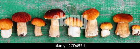 Funghi commestibili di foresta. Boletus appena raccolto su sfondo di legno verde. Messa a fuoco selettiva, vista superiore, banner Foto Stock