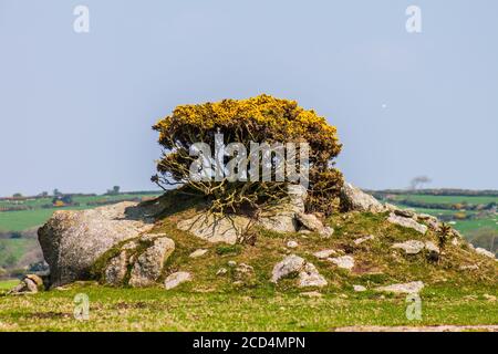 Formazioni rocciose sulla Cornish Moor Foto Stock