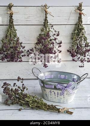 Raccolta di erbe di origano in fasci e preparazione per il concetto di essiccazione. Metodi di conservazione per erbe o fiori per uso futuro Foto Stock