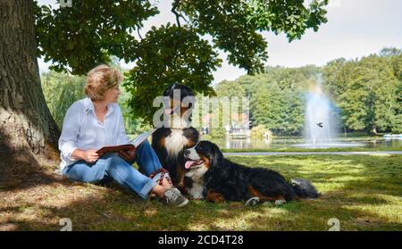 donna matura con cani da montagna bernesi al soleggiato parco di lettura prenota Foto Stock