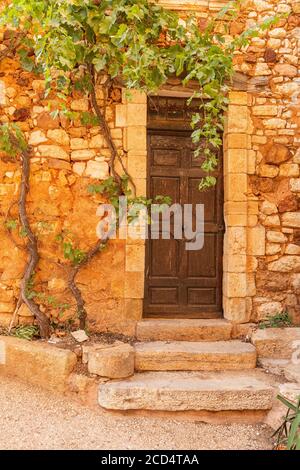 Una vite che cresce sul lato di una casa nel pittoresco villaggio di Roussillon, Luberon, Francia Foto Stock