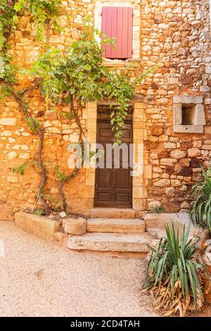 Una vite che cresce sul lato di una casa nel pittoresco villaggio di Roussillon, Luberon, Francia Foto Stock