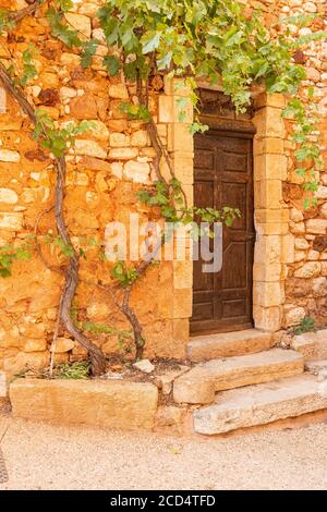 Una vite che cresce sul lato di una casa nel pittoresco villaggio di Roussillon, Luberon, Francia Foto Stock