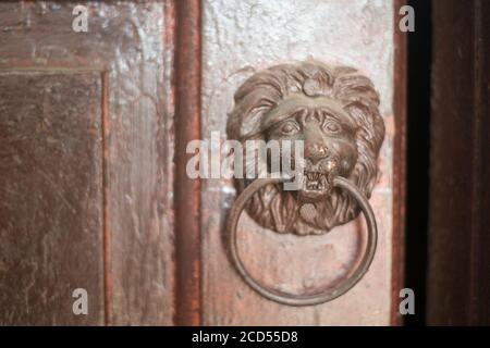 Porta vecchia maniglia knoker sotto forma di una testa di leone su una porta di legno. Foto Stock