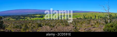 Mauna Loa ai margini del Parco Nazionale dei Vulcani sulle Isole Hawaii, Stati Uniti Foto Stock