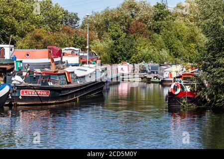 Barche ormeggiate a Springfield Marina sul fiume Lea, Clapton, Londra, Regno Unito Foto Stock