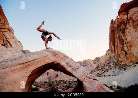 Ginnastica, state Park, Overton, Nevada, USA Foto Stock