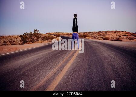 Ginnastica, state Park, Overton, Nevada, USA Foto Stock