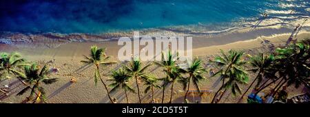 Vista ad alto angolo delle palme sulla spiaggia sabbiosa di Waikiki e il mare blu, Waikiki, Hawaii, USA Foto Stock