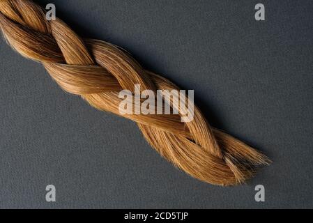 pigtail marrone chiaro su sfondo grigio. Capelli sani e naturali. Concetto di cura dei capelli. Primo piano. Foto Stock