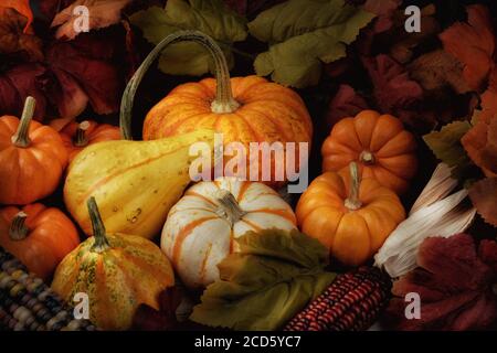 Vista ad alto angolo di una natura morta in autunno con zucche e zucche assortite, mais e foglie indiani, con luce laterale calda. Foto Stock