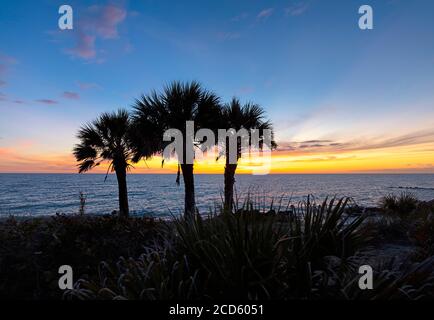 Sagome di palme sulla spiaggia di Caspersen al tramonto e Golfo del Messico al tramonto, Venezia, Florida, USA Foto Stock