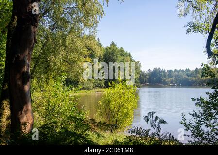 Dintorni di Lac du Settons (lago di Settons) a Morvan, Francia Foto Stock