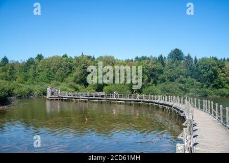 Dintorni di Lac du Settons (lago di Settons) a Morvan, Francia Foto Stock