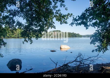 Dintorni di Lac du Settons (lago di Settons) a Morvan, Francia Foto Stock