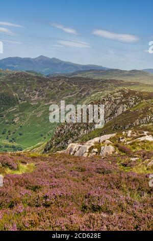 Guardando verso Eagle Crag dalla cima coperta di erica Sergeant's Crag a Borrowdale Foto Stock