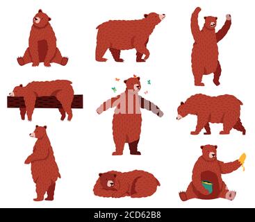 Orso bruno grizzly. Cartoon animali carini selvatici, animali da pelliccia della foresta, seduto, giocando e dormendo fauna selvatica mammifero, divertente orso vettore illustrazione set Illustrazione Vettoriale