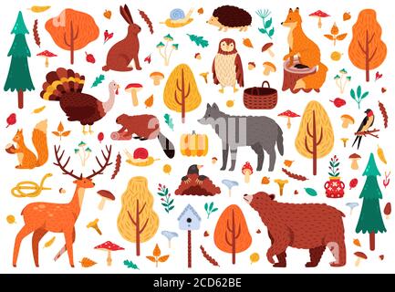 Animali carini d'autunno. Personaggi di volpe e cervi, uccelli boscosi e animali isolati raffiguranti vettoriali disegnati a mano selvatico insieme di icone Illustrazione Vettoriale
