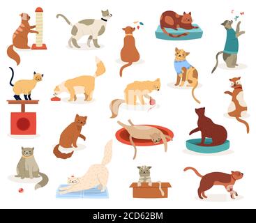 Gatti cartone animato. Carino caratteri gattino, divertenti felini luffy giocoso, razze pedigree animali, adorabili animali domestici kitty illustrazioni vettoriali set di icone Illustrazione Vettoriale