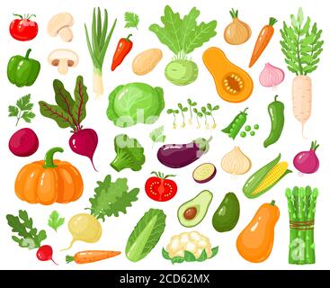 Verdure cartoon. Verdure vegane cibo, pomodoro, zucca, zucchine e carote, verdure fresche vegetariane crudo illustrazione vettore icone set Illustrazione Vettoriale