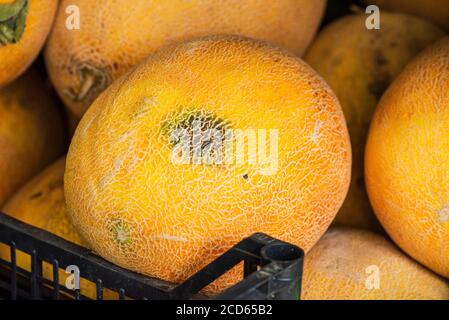 Cibo sano. Vitamine. Melone giallo. Melone. Dieta Foto Stock