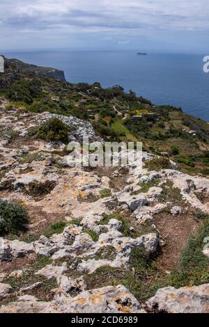 Europa, Malta, Valletta. Dingli Cliffs, il punto più alto di Malta, situato sulla costa occidentale. Foto Stock
