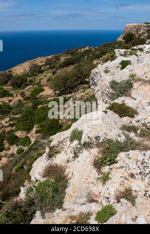 Europa, Malta, Valletta. Dingli Cliffs, il punto più alto di Malta, situato sulla costa occidentale. Foto Stock