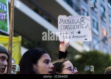 CABA, Buenos Aires / Argentina; 23 agosto 2019: Testo del segno: Le persone coscienti difendono l'ambiente. Protesta per la protezione dell'Amazzonia e contro Foto Stock