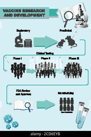 Illustrazione infografica della ricerca e dello sviluppo di vaccini Illustrazione Vettoriale