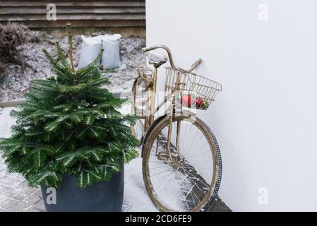 Una bicicletta decorativa in bronzo con un cesto contenente palle di Natale si trova vicino all'albero di Natale sulla strada invernale vicino alla casa. Natale dic Foto Stock