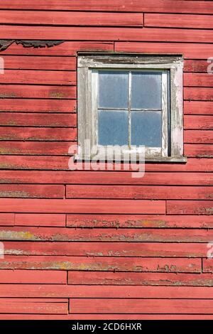 Primo piano texture sfondo vista di un antico muro di legno lap siding con superficie ruvida e vernice rossa peeling, con una vecchia finestra quadrata Foto Stock