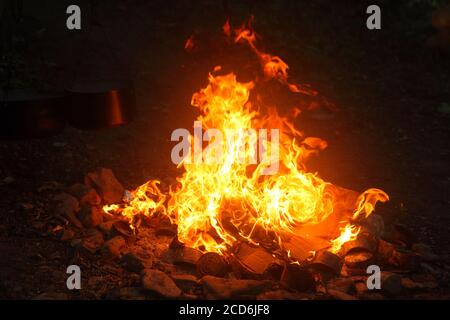 Il cibo è in fase di preparazione su un fuoco nella foresta. Escursione Foto Stock