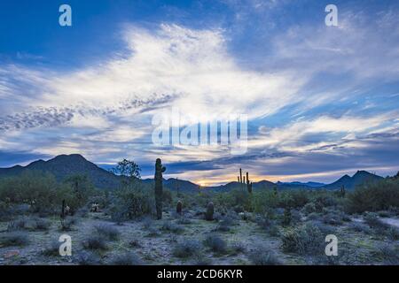 Il sole illumina il terreno desertico Foto Stock