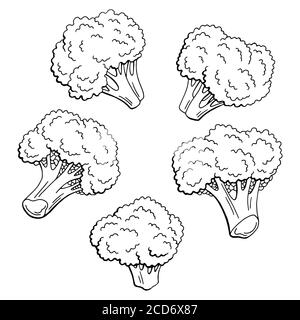 Broccoli grafico nero bianco isolato disegno insieme vettore illustrazione Illustrazione Vettoriale