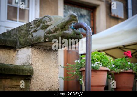 DANZICA, POLENA - 2017 AGOSTO 24. Uno scarico d'acqua decorativo in pietra drago in via Mariacka a Danzica. Foto Stock