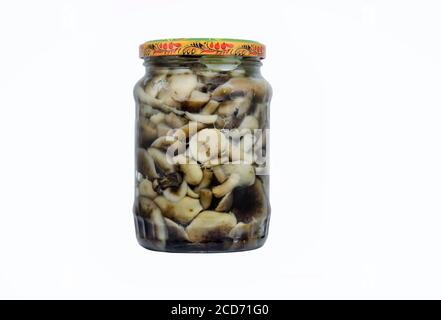 Funghi al miele marinati in un vaso isolato su sfondo bianco Foto Stock